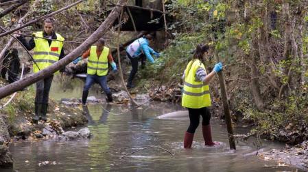 Más de 120 voluntarios y voluntarias se han congregado este sábado para participar en la limpieza del río Sadar