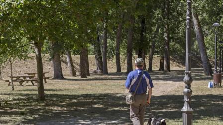 Mancomunidad talará 17 árboles en el parque de La Nogalera