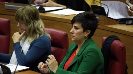 El Gobierno foral, disconforme con la propuesta PP de las prestaciones de maternidad