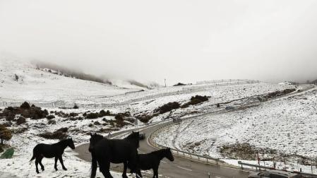 Semana con tiempo revuelto y precipitaciones
