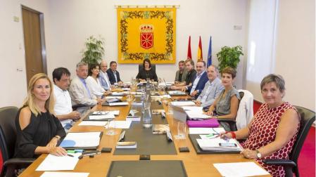 El Parlamento da su apoyo al pueblo de Alsasua y critica que se busque "generar crispación"