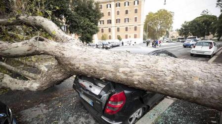 Al menos nueve personas han fallecido en el temporal que mantiene varias regiones italianas en Alerta por los fuertes vientos, las inundaciones y el derribo de árboles.