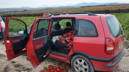 Investigadas dos riojanas por robar 400 kilos de pimiento en Viana