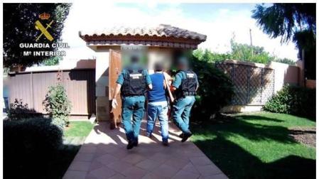 13 detenidos tras la incautación de 33.000 plantas de marihuana