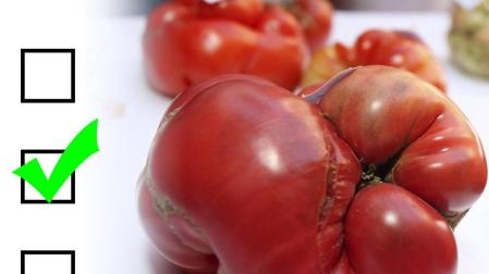 ¿Cuánto sabes de gastronomía de la Ribera navarra?