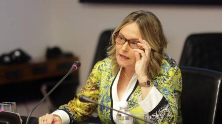Erice aboga por una formación "muy específica" en casos de violencia de género