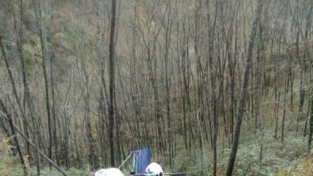 Desatrapado un conductor tras salirse de una pista forestal en Lesaka
