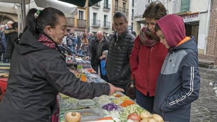 Estella honra a su patrón