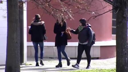 El Gobierno aprueba el nuevo Plan de Empleo Juvenil