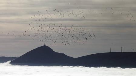 Fin de semana nuboso en Navarra con chubascos el domingo