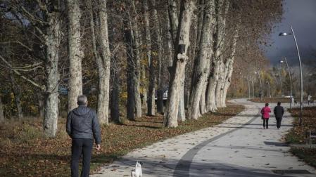 La gestión municipal en Navarra, la mejor valorada por los vecinos