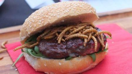 Insectos en el menú: un kilo de grillos, 500 euros