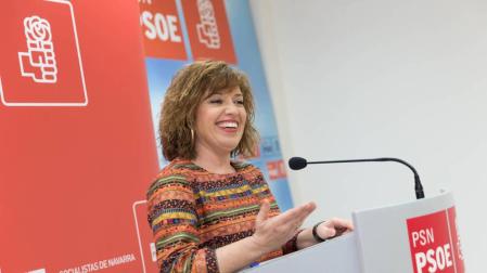 PSN critica a sus socios de I-E y Tudela Puede por no pedir la carta de capitalidad