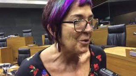 Tere Saez, tras su expulsión del grupo parlamentario de Podemos-Orain Bai