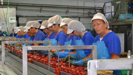 El desarrollo del sector servicios impulsa el empleo en Lodosa