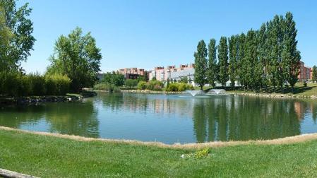 ¿Qué está haciendo el Ayuntamiento de Pamplona por el medio ambiente?