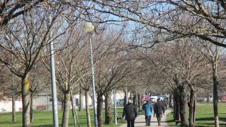 Martes soleado en Navarra, pero con sol “engañoso”