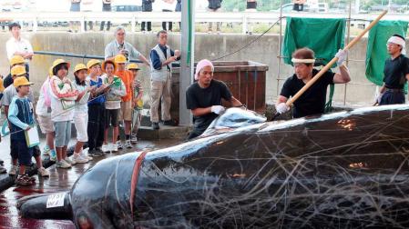 Japón se retira de la comisión que busca la preservación de las ballenas