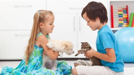 niños mascotas seguros