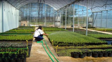 Un proyecto de bioeconomía circular generará hasta 15 empleos directos en Lumbier