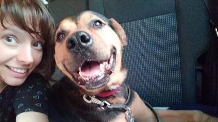 Bosco, el perro con una gran sonrisa