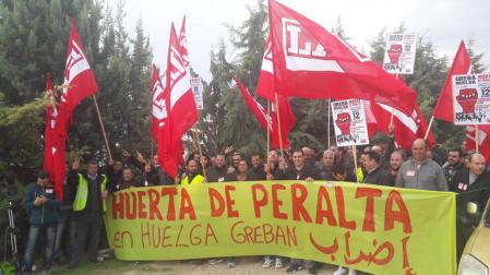 Un 80% de los trabajadores de Huerta de Peralta secundan la huelga