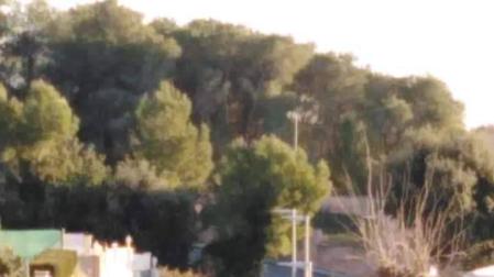 Imagen del perro tendido en el asfalto de la calle de Calafell en la que fue disparado por el policía.