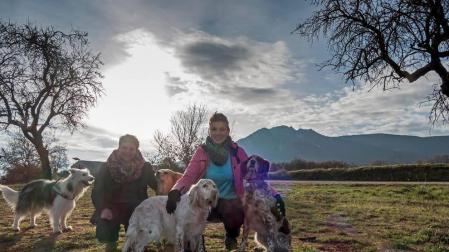 Veinte proyectos se reparten las nuevas ayudas al desarrollo local