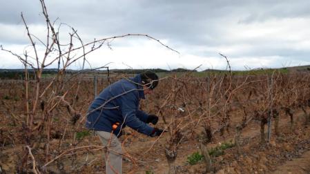 Malestar en Andosilla por la exclusión de 200 ha del Canal de Navarra