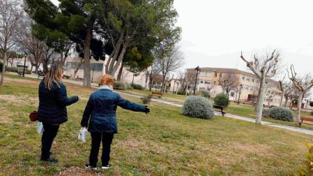 Educación entrega el proyecto del instituto de Ribaforada