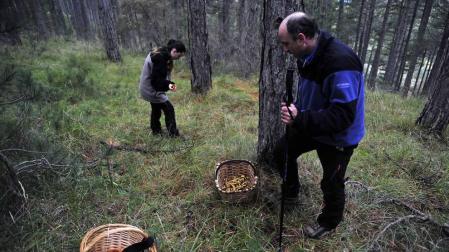 Pedro y Nerea Carrasco, padre e hija, conocen bien los rincones dónde se pueden encontrar setas en los parajes de la Valdorba.