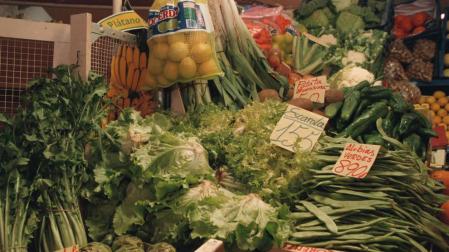 La verdura es uno de los pilares de una dieta saludable. Estos días su precio se ha visto alterado por las heladas.