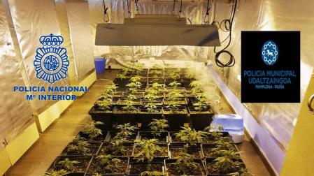 Dos detenidos por tráfico de drogas y desmantelado un punto de venta en Pamplona