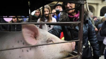 Tafalla celebró este domingo el último día de sus ferias con multitud de vecinos y visitantes que se acercaron a la plaza del Ayuntamiento donde se congregaron un total de treinta puestos artesanales y a la tradicional Rifa del Cuto.