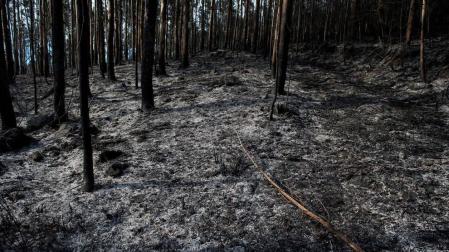 Mejora la situación de los incendios en Cantabria, con 17 focos activos