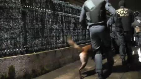 Cuatro detenidos en la investigación del asesinato del concejal de Llanes