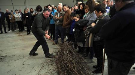 La I Fiesta del injerto llegó a Berbinzana con demostraciones del ayer y el hoy del injerto, una práctica sin la que no se entendería a la cultura de la vid y el vino en Navarra