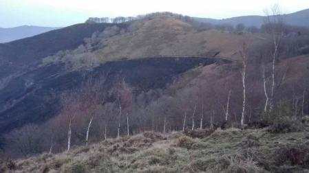 Extinguido en Goizueta el incendio intencionado que ha calcinado más de 100 ha.
