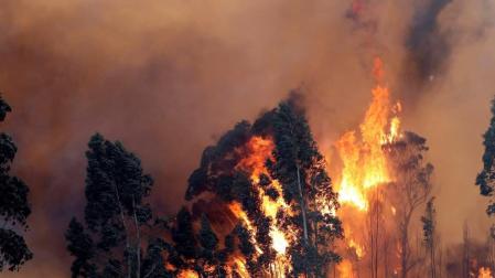 Incendio en las proximidades de Naves (Llanes).