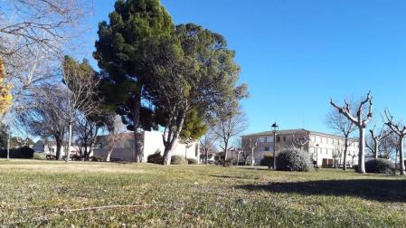 Terrenos donde se hará el instituto con el colegio, al fondo.