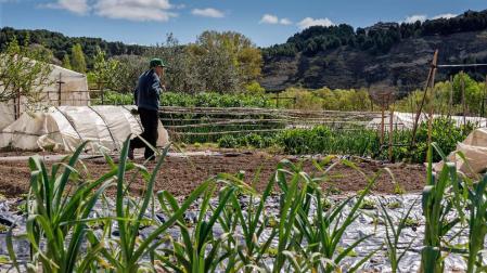 El campo navarro sufre una p&eacute;rdida de aut&oacute;nomos del 1,85%