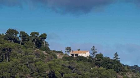 Estella rebaja el precio de su masa forestal para encontrar compradores