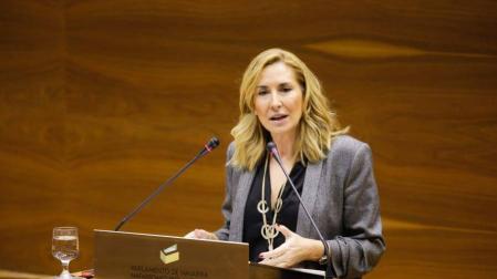 El Parlamento de Navarra rechaza recuperar la derogada ley de Símbolos