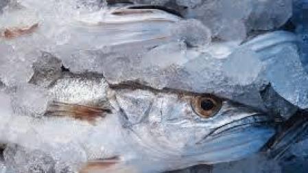 Cada vez comemos menos pescado