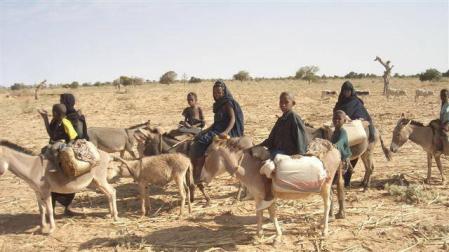 Cerca de 50 civiles muertos por un ataque de milicianos en el centro de Mali