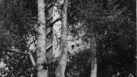 Era marzo de 1969 y los primeros vecinos del emergente barrio de Arrosadía ocupaban aquellas recién creadas viviendas