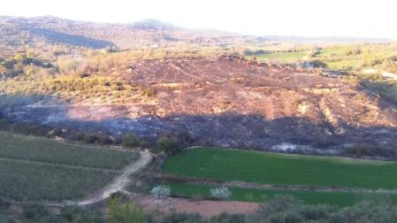 Extinguidos 19 incendios en Navarra, en su mayoría por quemas prohibidas