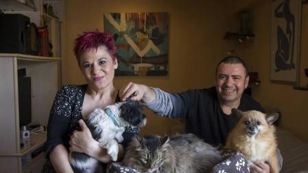 Tres perros, tres gatos y un mismo hogar