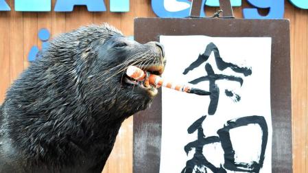 El nombre de la nueva era de Japón será "Reiwa"