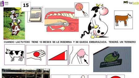 Pictogramas para la visita de los niños de ANA a las instalaciones de Lacturale
